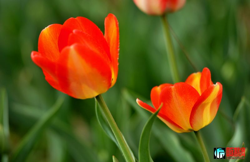 ���� DSC_1690.JPG