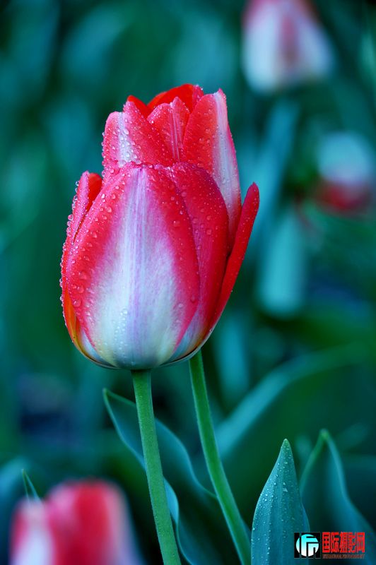 ���� DSC_1679.JPG