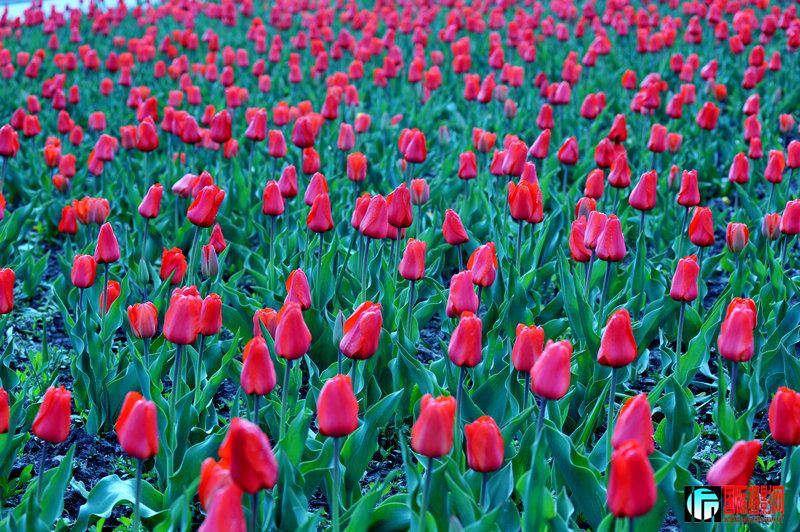 ���� DSC_1678.JPG