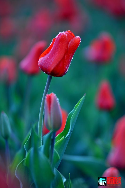 ���� DSC_1675.JPG