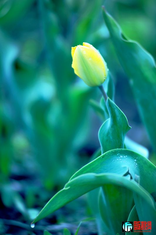 ���� DSC_1673.JPG