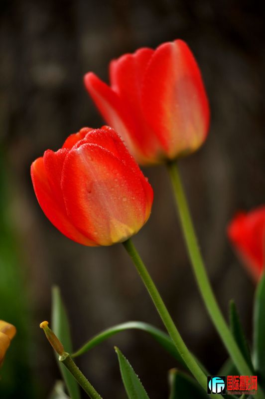 ���� DSC_1684.JPG