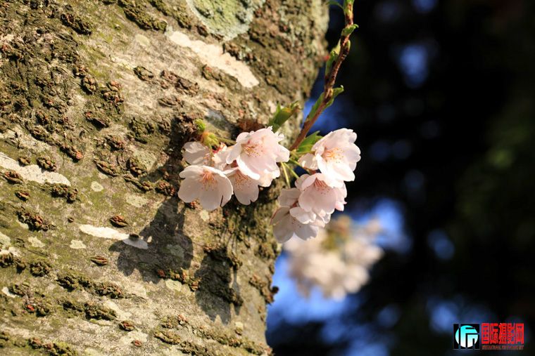 ������Ƭ (218).JPG