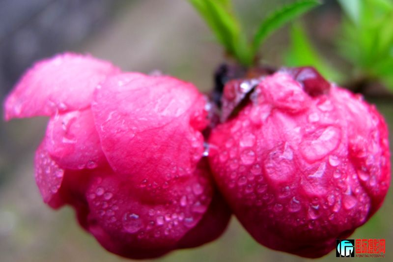 2012-1���� 052.jpg