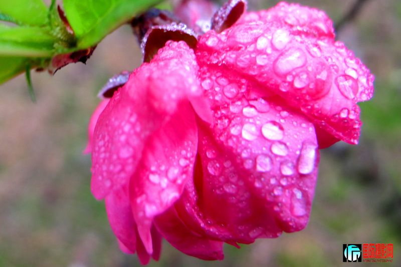 2012-1���� 053.jpg