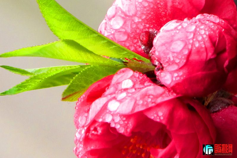 2012-1���� 059.jpg