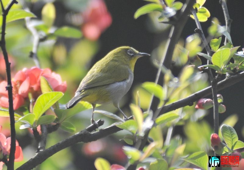 ������ 620.jpg