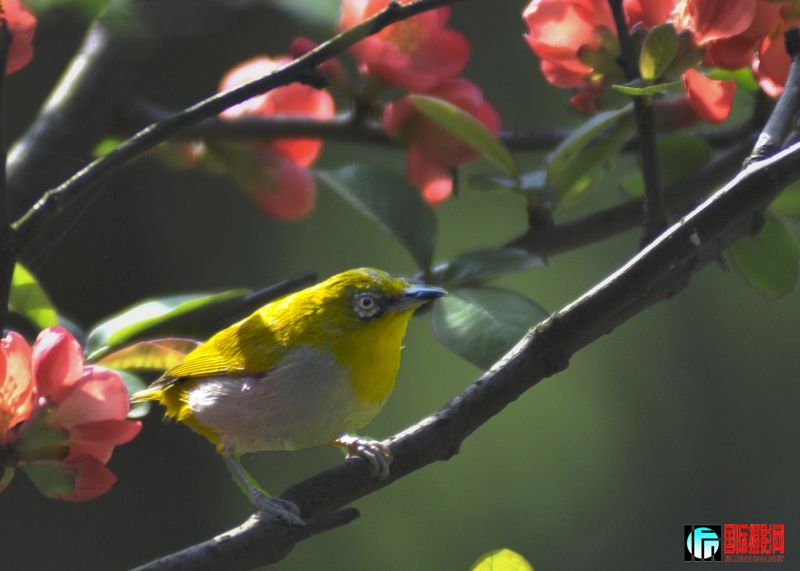 ������ 641.jpg