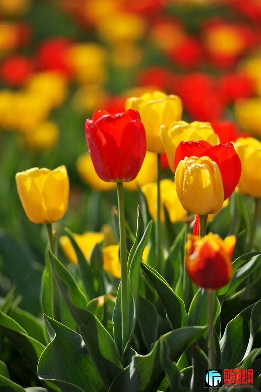 ���� DSC_1709.JPG