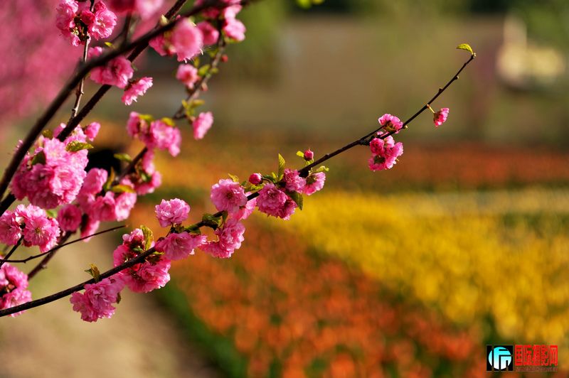 ���� DSC_1691.JPG