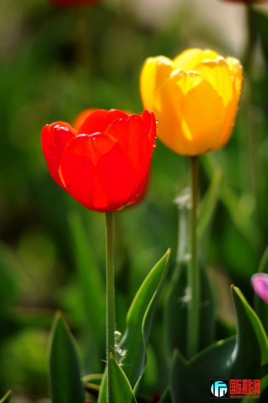 ���� DSC_1707.JPG