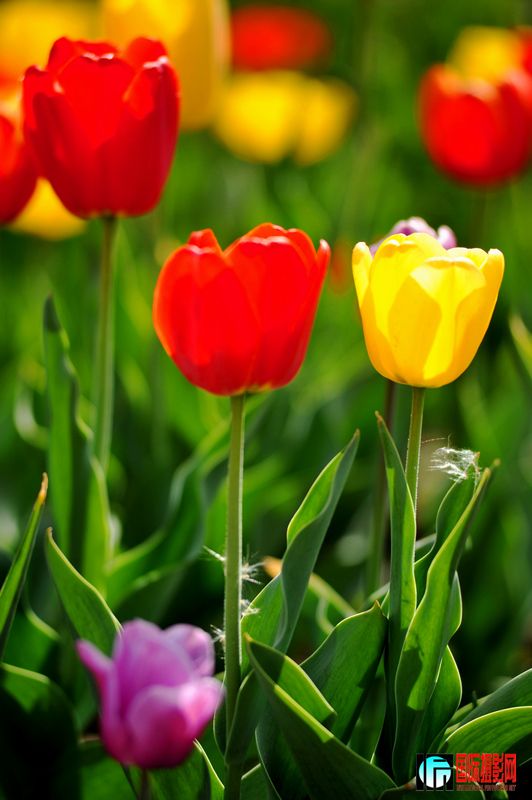 ���� DSC_1715.JPG