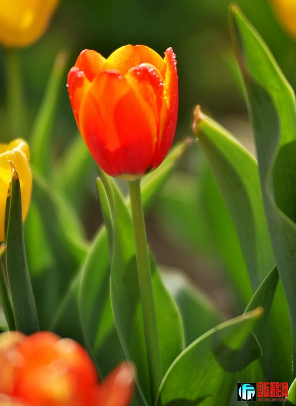 ���� DSC_1699.JPG