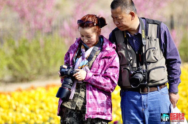 ���� _DSC0065.JPG