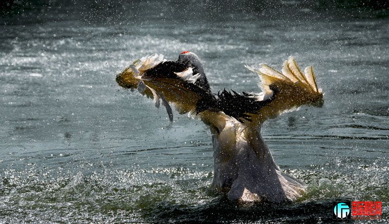 _MG_4923 - ����.jpg