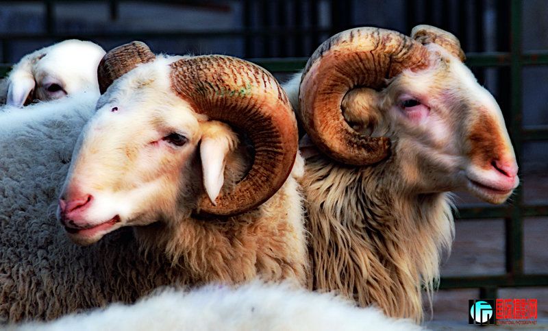 ���� DSC_0307.jpg