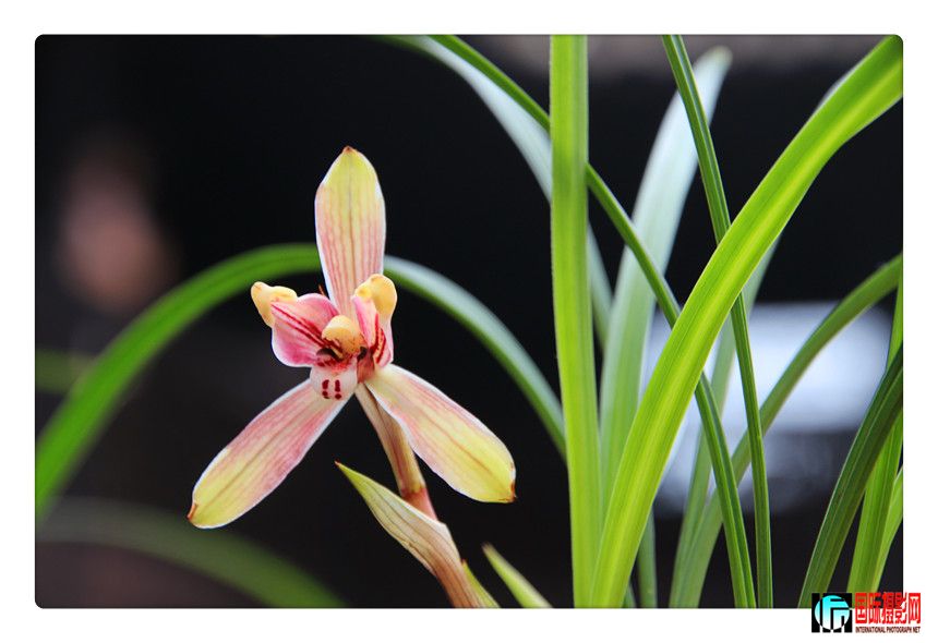 2 495_����.jpg