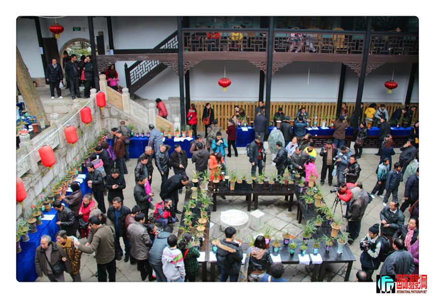 2 533_����.jpg