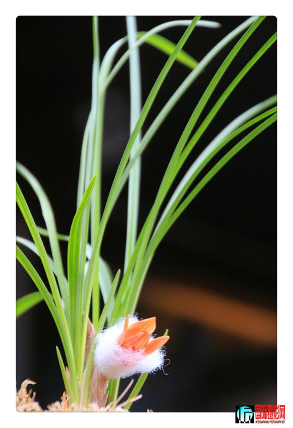 2 506_����.jpg