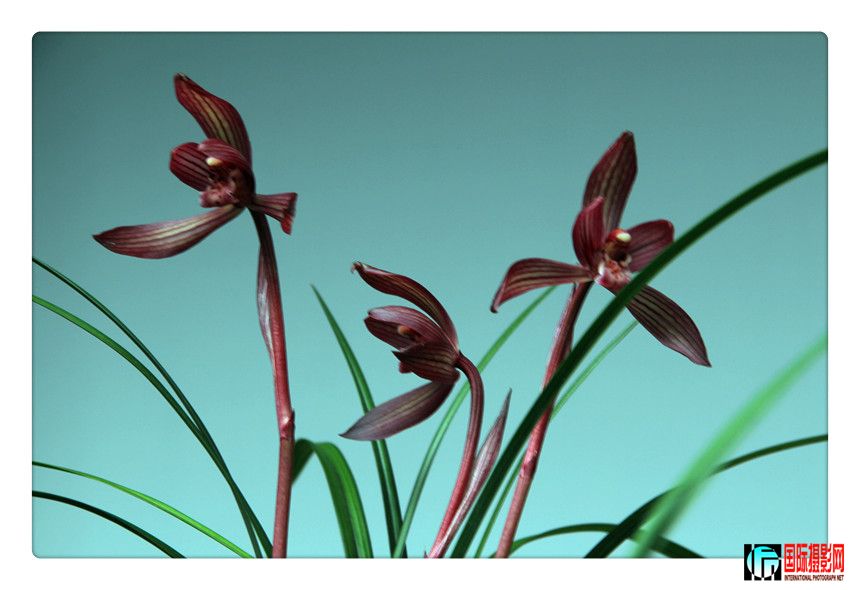 2 433_����.jpg