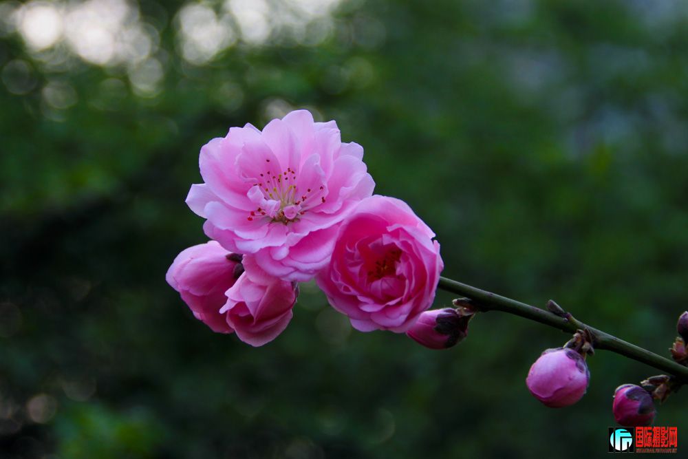 ����Ļ������޶���.