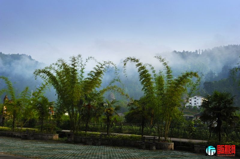 ��ֽ�� 511.jpg