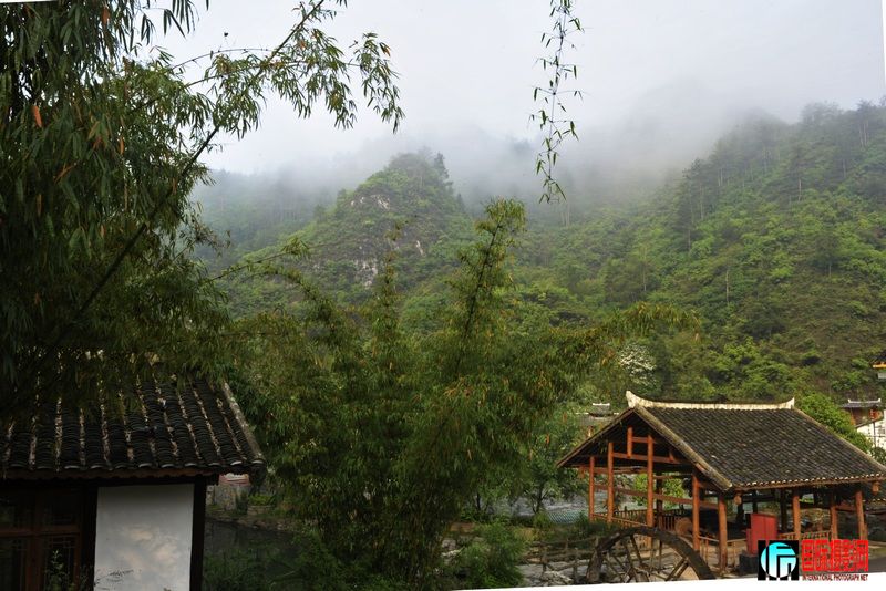 ��ֽ�� 475.jpg