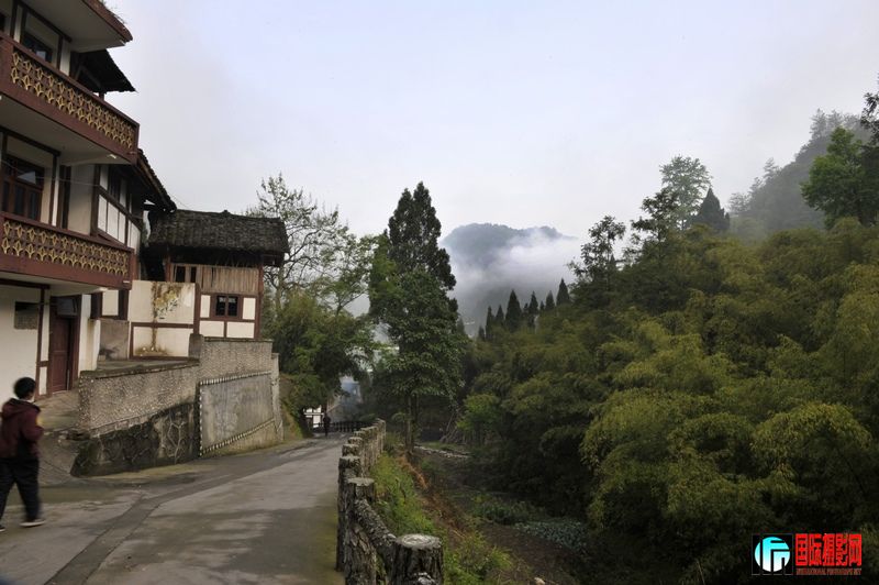 ��ֽ�� 452.jpg