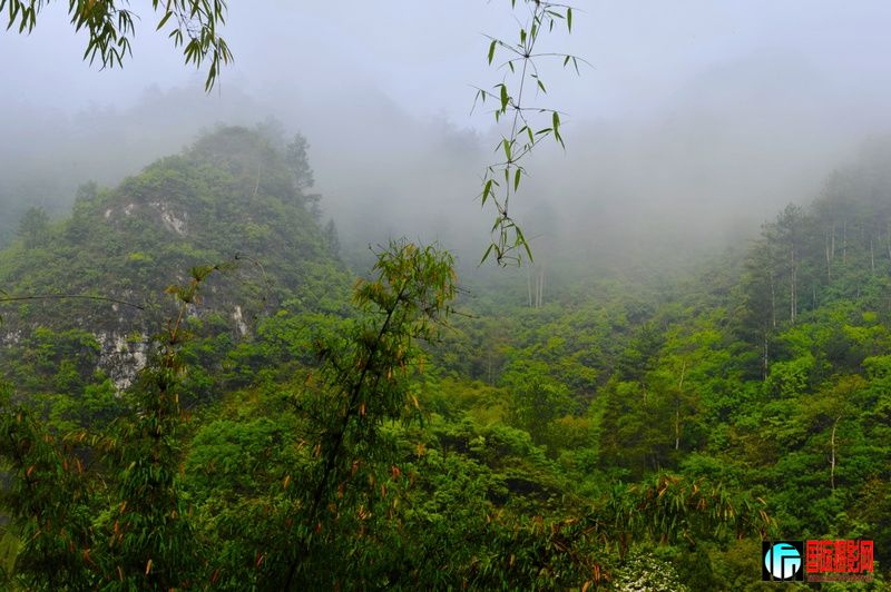 ��ֽ�� 474.jpg