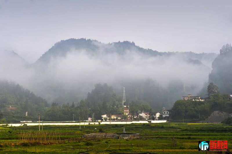 ��ֽ�� 478.jpg