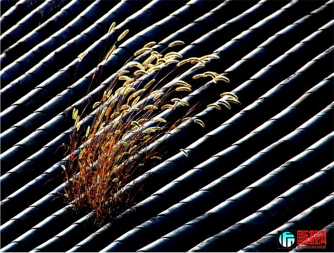 ���� С��.jpg