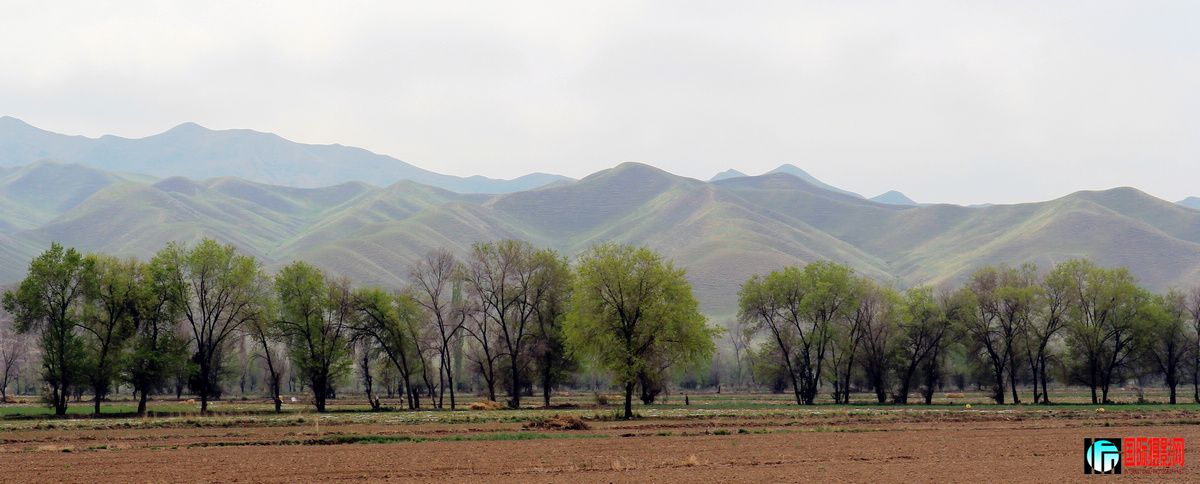 ����ӳ��ɽ