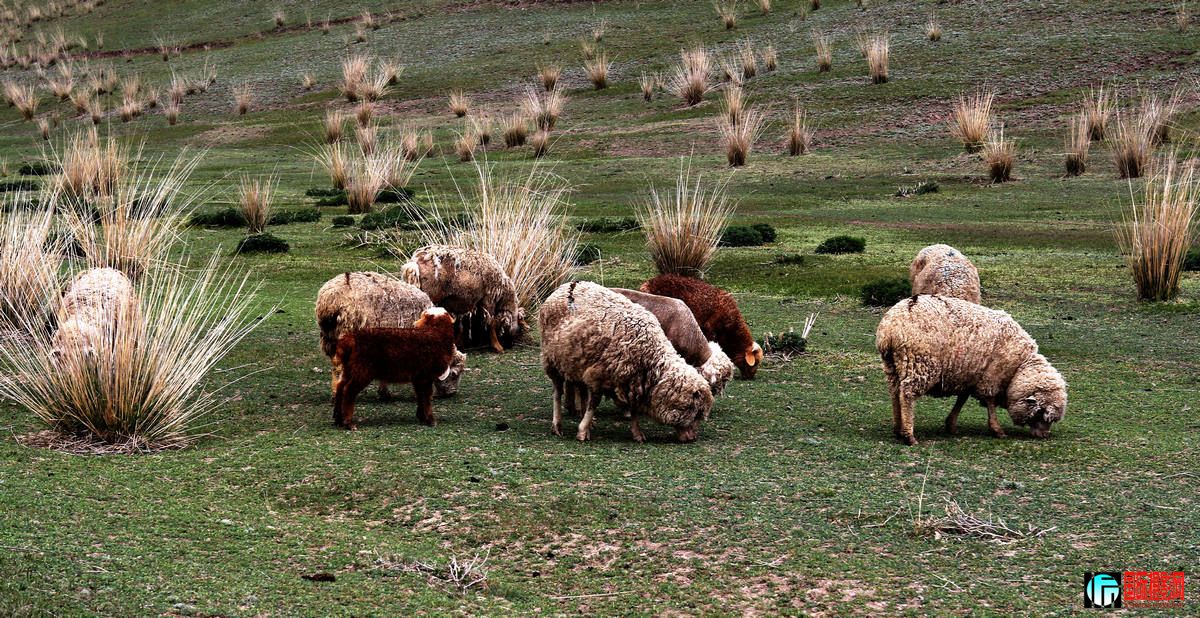 ��ɽ����2