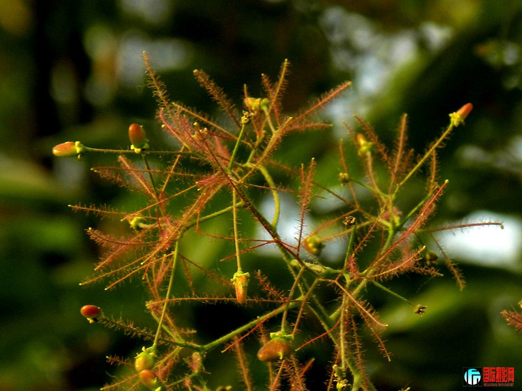 dscn2545_���� (2).jpg