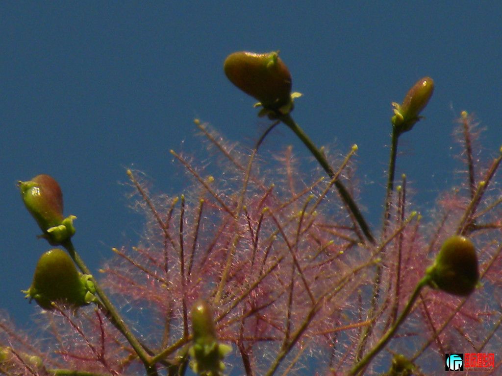 DSCN2682_���� (2).jpg