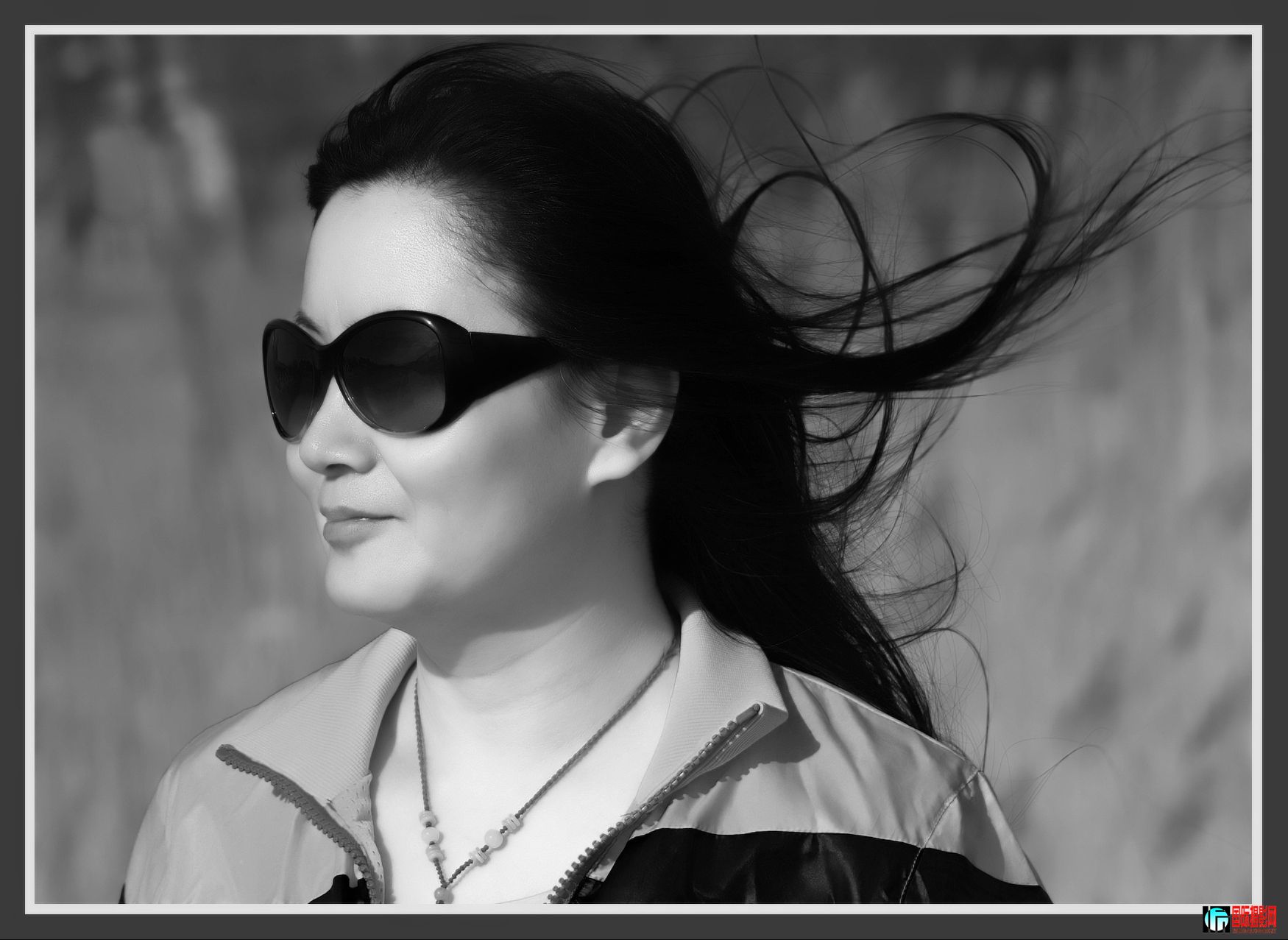 ����Ʈ��