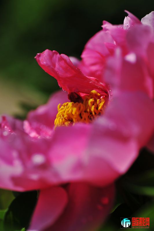 ���� DSC_2374.JPG