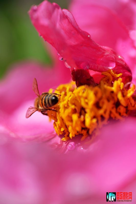 ���� DSC_2354.JPG