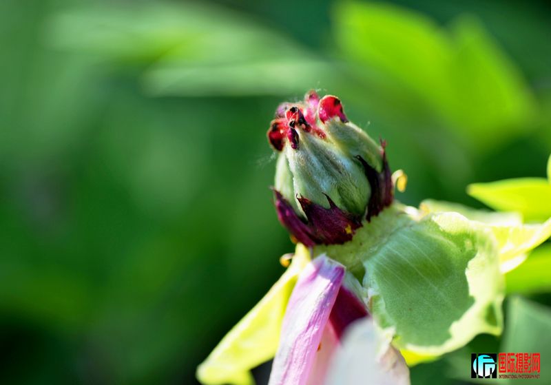 ���� DSC_2321.JPG