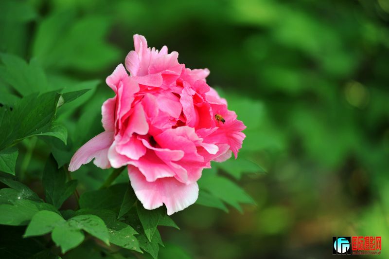 ���� DSC_2247.JPG