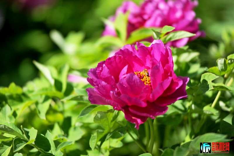 ���� DSC_2312.JPG