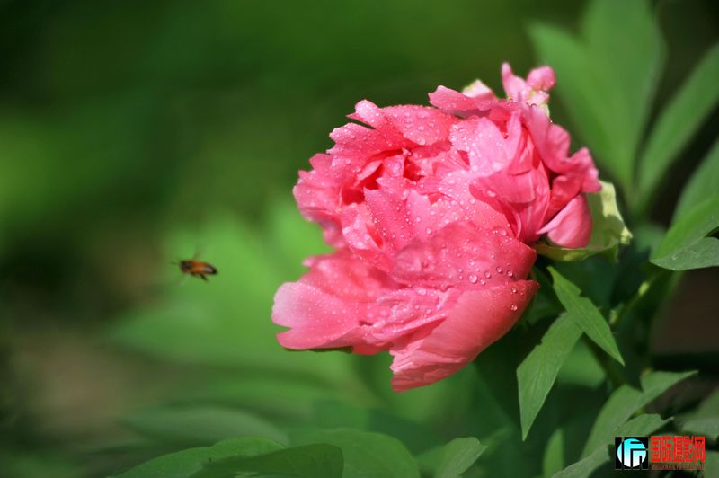 ���� DSC_2250.JPG