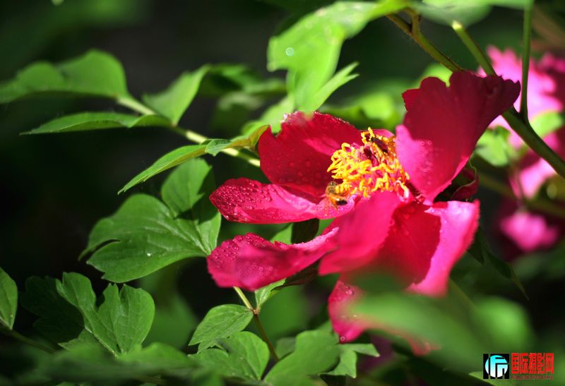 ���� DSC_2260.JPG