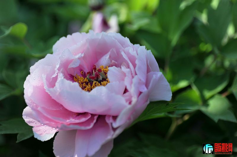 ���� DSC_2315.JPG