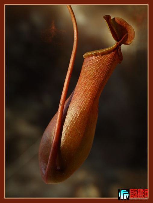 ������-01