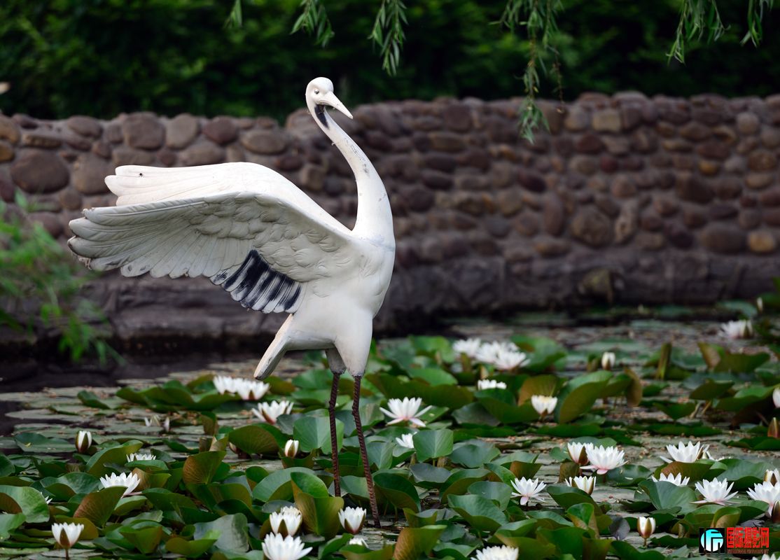 ���˯����������