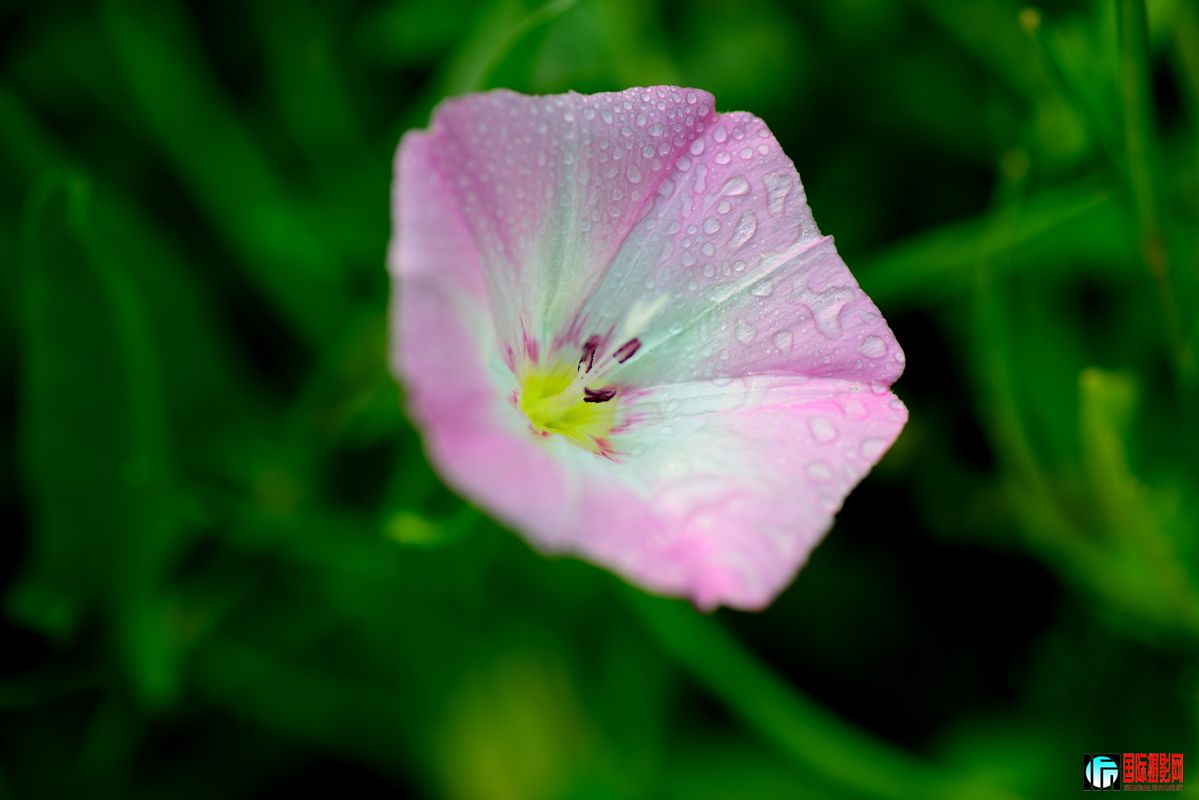 �峿�����Ȼ�