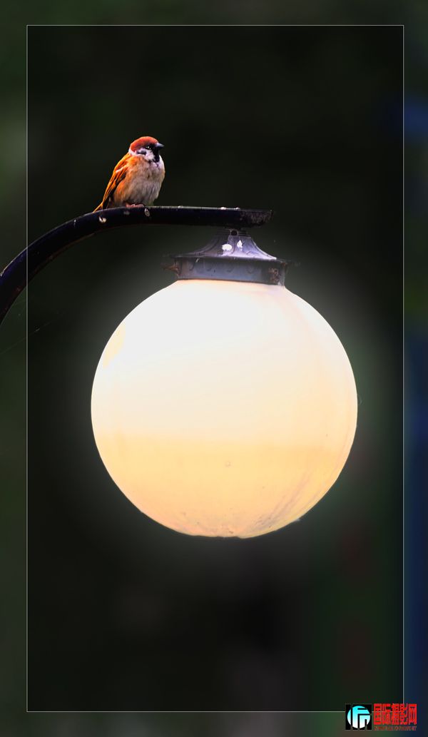 �糿�ĵģ������ҹ��Ч��