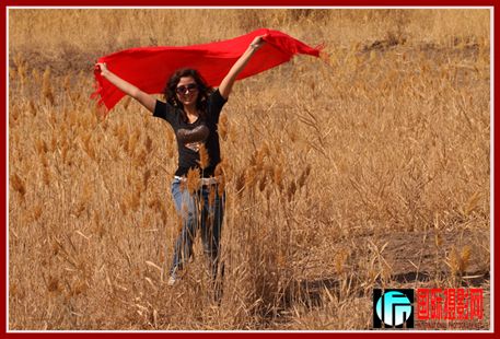 Ʈ��������