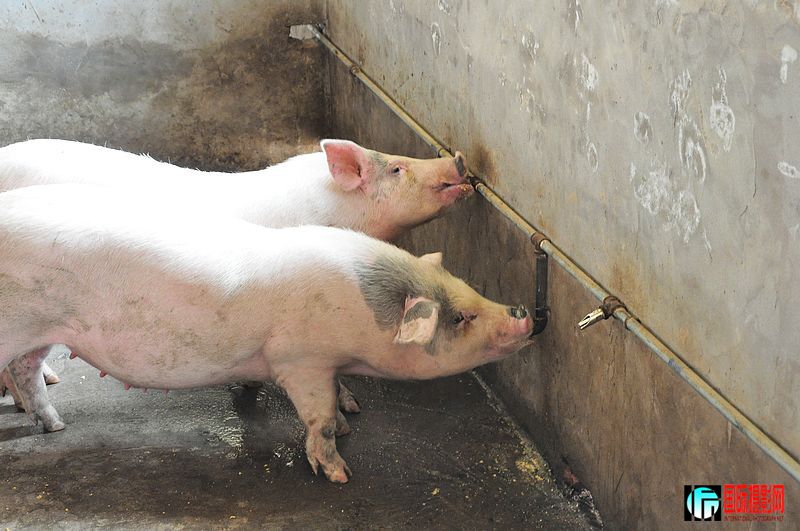 nEO_IMG_��Ƭ 063.jpg